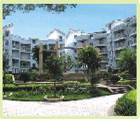 ���{���늏S